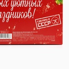 Чай подарочный, набор «Советский набор», набор 3 шт. × 50 г, вкусы: бергамот, мята, яблочный штрудель - Фото 7