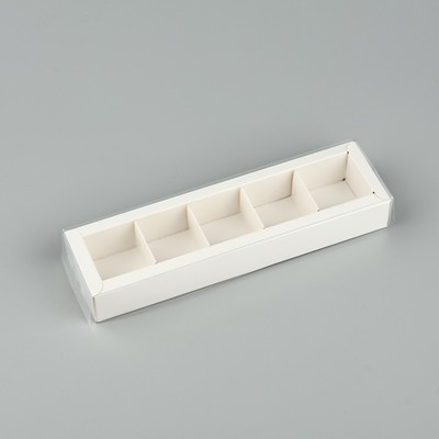 Коробка под 5 конфет с ячейками «Белая», 6×23×3 см