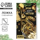 Ложка с подвесом новогодняя «Время чудес настало» на Новый год, 2,7 х 14,8 см 10269511 - фото 4163154