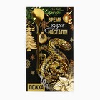 Ложка с подвесом новогодняя «Время чудес настало» на Новый год, 2,7 х 14,8 см 10269511 - фото 13318618