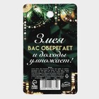 Магнит новогодний «Приношу удачу» на Новый год на Новый год, диам. 4 см, зол - Фото 6