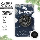 Магнит новогодний «Чудесного Нового года» на Новый год на Новый год, диам. 4 см, серебро 10296737 - фото 312744640