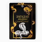 Брошь новогодняя «Загадай желание» на Новый год, 6 х 8 см - Фото 2