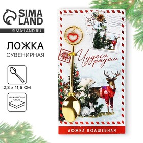 Ложка чайная с подвесом "Чудеса рядом", 11,5 х 2 см 10372443