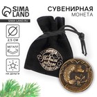 Монета в мешочке "С Новым счастьем!", диам. 2.5 см - фото 79539