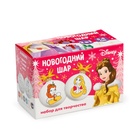 Ёлочные шары под раскраску на новый год «Принцессы», d=5.5 см, 2 шт., краски, набор для творчества - Фото 2