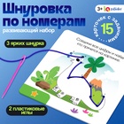 Развивающий набор «Шнуровка по номерам», 3+ - Фото 1