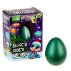 Растущие игрушки «Вырасти своего питомца. Змея» - Фото 2