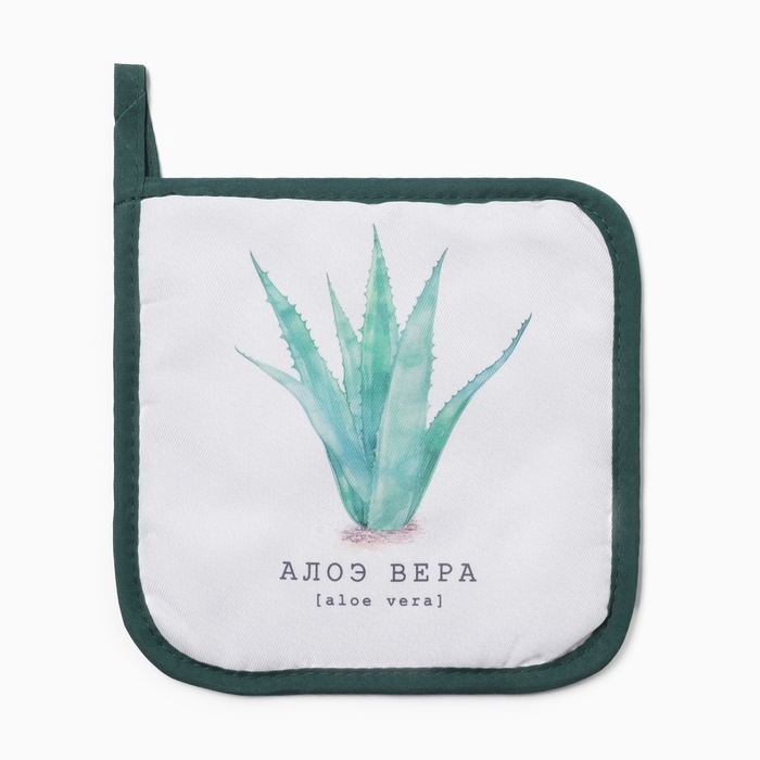 Прихватка «Алоэ вера», 17×17 см, 100% п/э - Фото 1