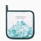 Прихватка «Доляна. Суккулент», 17×17 см - Фото 1