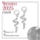 Новый год! Символ года 2025! Серьги висячие со стразами «Змейка», цвет белый в серебре - фото 322135050