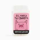 Конфеты драже в банке «Ты свинера», мята, 18 г - Фото 4