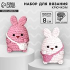 Набор для вязания крючком. Амигуруми: мягкая игрушка своими руками «Зайки-подружки», 8 см 10537916 - фото 13681421