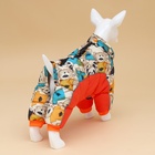 Комбинезон для собак «Мишка Тедди», размер 22 (ДС 48, ОГ 54, ОШ 38 см), оранжевый - Фото 2