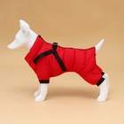 Комбинезон для собак со шлейкой «Моден», размер 12, ДС 28, ОГ 38, ОШ 27 см, красный - Фото 3