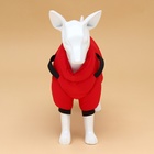 Комбинезон для собак со шлейкой «Моден», размер 12, ДС 28, ОГ 38, ОШ 27 см, красный - Фото 4