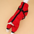 Комбинезон для собак со шлейкой «Моден», размер 12, ДС 28, ОГ 38, ОШ 27 см, красный - Фото 5