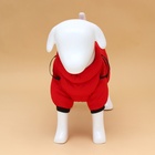 Комбинезон для собак со шлейкой «Моден», размер 16, ДС 36, ОГ 46, ОШ 35 см, красный - Фото 4