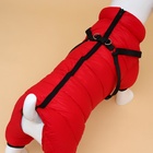 Комбинезон для собак со шлейкой «Моден», размер 18, ДС 40, ОГ 50, ОШ 38 см, красный - Фото 5