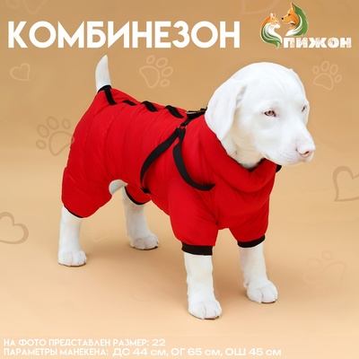 Комбинезон для собак со шлейкой «Моден», размер 22, ДС 41, ОГ 60, ОШ 43 см, красный
