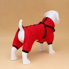 Комбинезон для собак со шлейкой «Моден», размер 22, ДС 41, ОГ 60, ОШ 43 см, красный - Фото 2