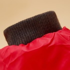 Комбинезон для собак со шлейкой «Моден», размер 22, ДС 41, ОГ 60, ОШ 43 см, красный - Фото 11