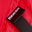 Комбинезон для собак со шлейкой «Моден», размер 22, ДС 41, ОГ 60, ОШ 43 см, красный - Фото 8