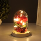 Ночник колба «Роза» LED 3хААА красный 9,5х9,5х14см - фото 25729642