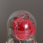 Ночник колба «Роза» LED 3хААА красный 9,5х9,5х14см - фото 25729643