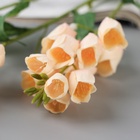 Цветы искусственные «Наперстянка садовая», h=68 см, светло-розовые - фото 53867810