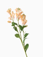 Цветы искусственные «Наперстянка садовая», h=68 см, светло-розовые - фото 53867812