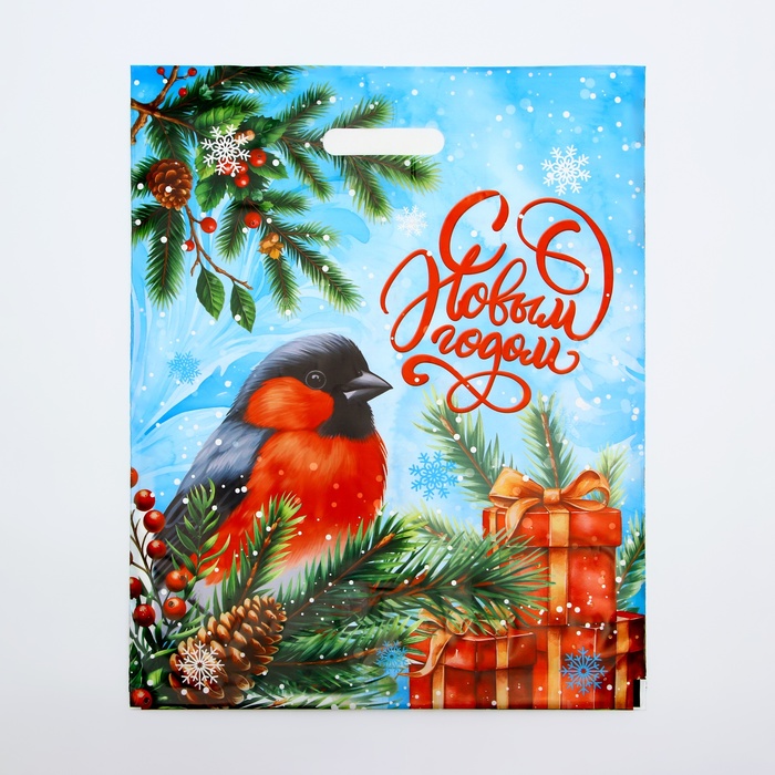 Пакет подарочный новогодний «С Новым годом», полиэтиленовый с вырубной ручкой, 45×38 см, 60 мкм - Фото 1