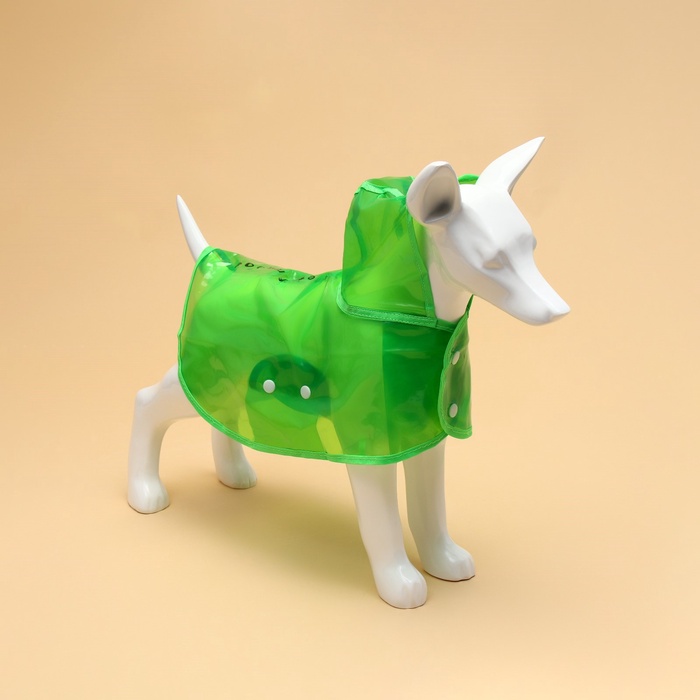 Дождевик для собак, размер S, зеленый - Фото 1