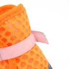 Ботинки для животных «Кросс», набор 4 шт., 1 размер (4×3 см), оранжевые - Фото 6