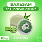 Бальзам для ногтей и кутикул с алоэ вера, 10 мл - фото 322137771