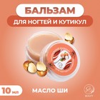 Бальзам для ногтей и кутикул с маслом ши, 10 мл - фото 322137779