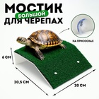 Мостик для черепах большой, на присосках, 20.5×20×6 см - Фото 1