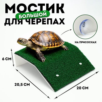 Мостик для черепах большой, на присосках, 20.5×20×6 см
