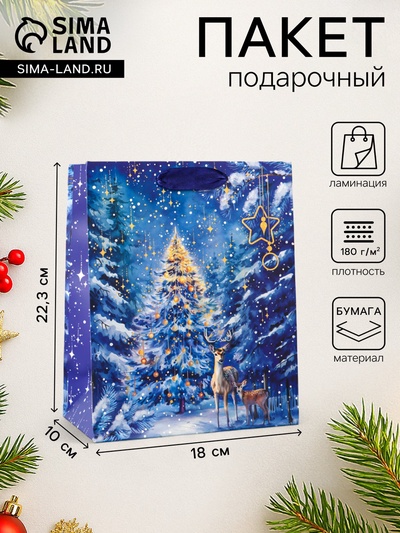 Пакет подарочный новогодний ламинированный «Ночная красавица», 18×22.3×10 см