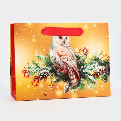 Пакет подарочный новогодний ламинированный «Совушка», 23×17.8×9.8 см
