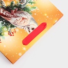 Пакет подарочный новогодний ламинированный «Совушка», 23×17.8×9.8 см - фото 58018241