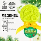 Новый год! Леденец на палочке «Талисман здоровья», вкус яблоко, 30 г 10657902 - фото 13354776