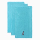 Полотенца махровые «Этель» Cherry, 3 шт., 30×60 см, хлопок 100%, голубые - Фото 7