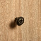 Ручка кнопка ТУНДРА VINTAGE 004, цвет бронза, 8 шт. TMP - Фото 6