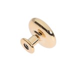 Ручка кнопка LIGHT PK036GP (MD112GP), цвет золото, 8 шт TMP - фото 31969954