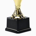 Кубок 188 С, наградная фигура, золото, подставка пластик, 23.5 см - Фото 5