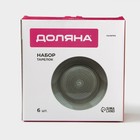 УЦЕНКА Набор тарелок Доляна «Палитра», 6 шт., 26.5×26.5×3 см, цвет серый - Фото 5