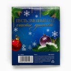 Монета «Новогодних чудес», диам. 4 см 10429975 - фото 16404689