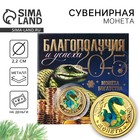 Монета новогодняя «Благополучия и успеха» на Новый год, диам. 2,2 см 10296079 - фото 312979463