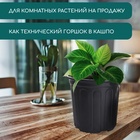 Горшок для рассады, 2 л, d=16 см, h=15 см, мягкий пластик, чёрный, Greengo 10479286 - фото 16363214